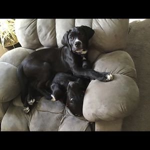 Meet your Posher, Chelsie